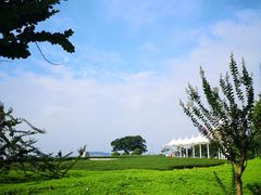 -青岛海滨风景区