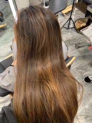 -IP SALON