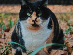 -T80科技文化国际社区-停车场