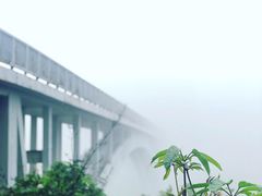-东部华侨城