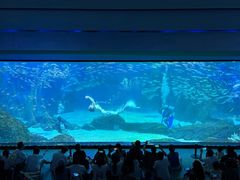 -海合安成都极地海洋公园