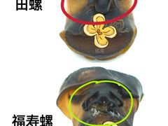 -辣可可·小炒黄牛肉(望京凯德MALL店)