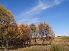 -塞罕坝国家级自然保护区