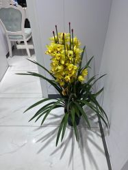 -鑫元辰医疗美容整形