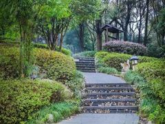 -山湖温泉