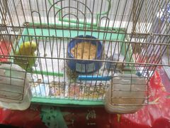 -草原塞蛮羊火锅城(港湾店)