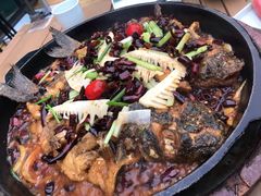 -老板恋上鱼(恒隆广场店)