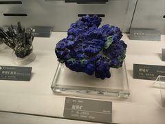 -中国地质博物馆