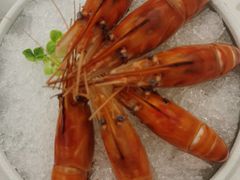 -大树餐厅(环球港店)