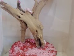 -陶语手工·拼豆·陶艺·银饰diy(宽厚里店)
