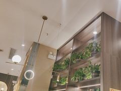 -刘胖子家常菜·蹄花焖藕(中南店)