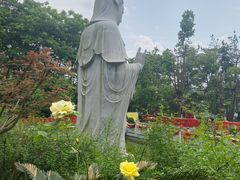-潜山国家森林公园
