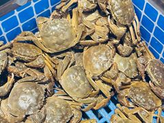 -渔公码头·九龙湾国际饭店