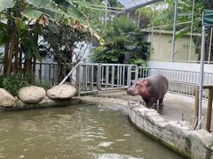 -宁波野生动物园