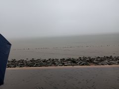-深圳湾公园(南山区)