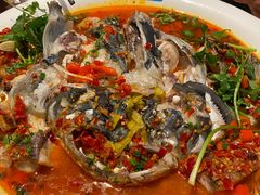 -坛宗剁椒鱼头(河西王府井店)