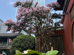 -古大圣慈寺