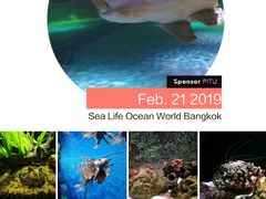 -暹罗海洋世界