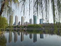 -后襄河公园