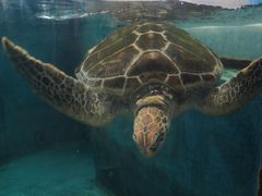 -成都浩海立方海洋公园