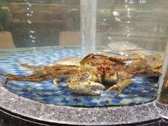 -海派美食·家宴海鲜青岛菜·石锅鲽鱼头(东方城店)