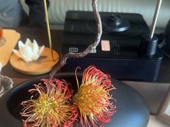 -大拙里·精致融合菜(沙湖桃源国际店)