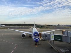 -全日本空输株式会社(上海办事处)