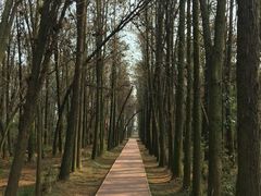 -同里国家湿地公园