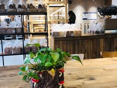-原麦山丘(世纪金源店)