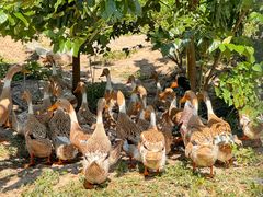 -妈妈的小作坊(陈家镇店)