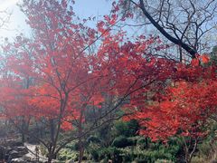 -大连植物园