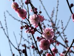-虎丘山风景名胜区