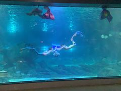 -福州罗源湾海洋世界旅游区