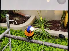 -悦见花开·花园里的火锅·露营·下午茶