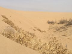 -黄沙古渡原生态旅游区