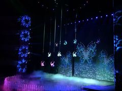 -水秀国际大剧院