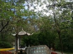 -高尔山公园