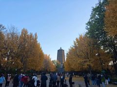 -玲珑塔公园