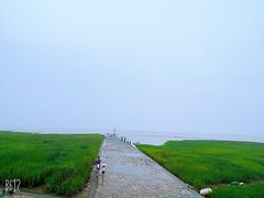 -南汇嘴观海公园