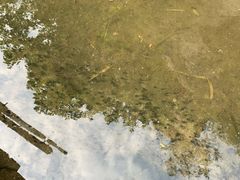 -碓臼峪自然风景区