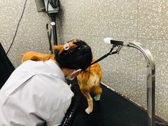 -宠物家(角门东店)