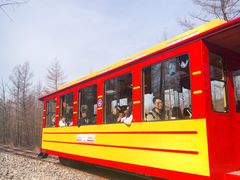 -莫尔道嘎国家森林公园