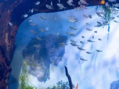 -南昌融创海世界