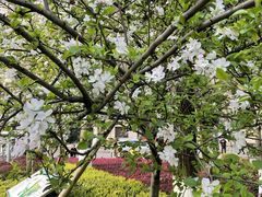 -龙头寺公园