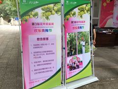 -广州市流溪河国家森林公园