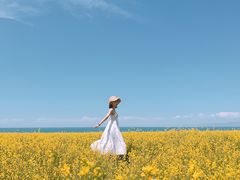 -青海湖国家重点风景名胜区
