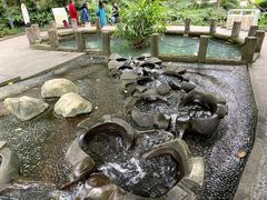 -成都市活水公园