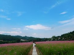 -红山村