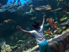 -华夏文旅海洋公园