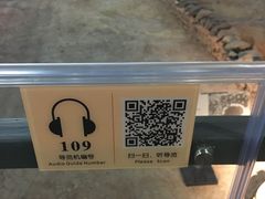 -南越王博物院(王宫展区)